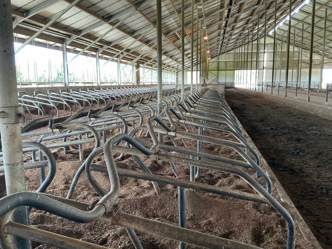 Ligbox - Livestock equipment: picture 2 Ligbox - Livestock equipment: picture 2