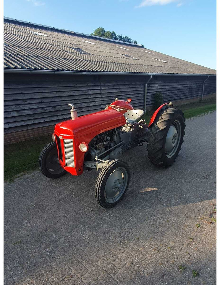 MF TEF - Farm tractor: picture 1 MF TEF - Farm tractor: picture 1