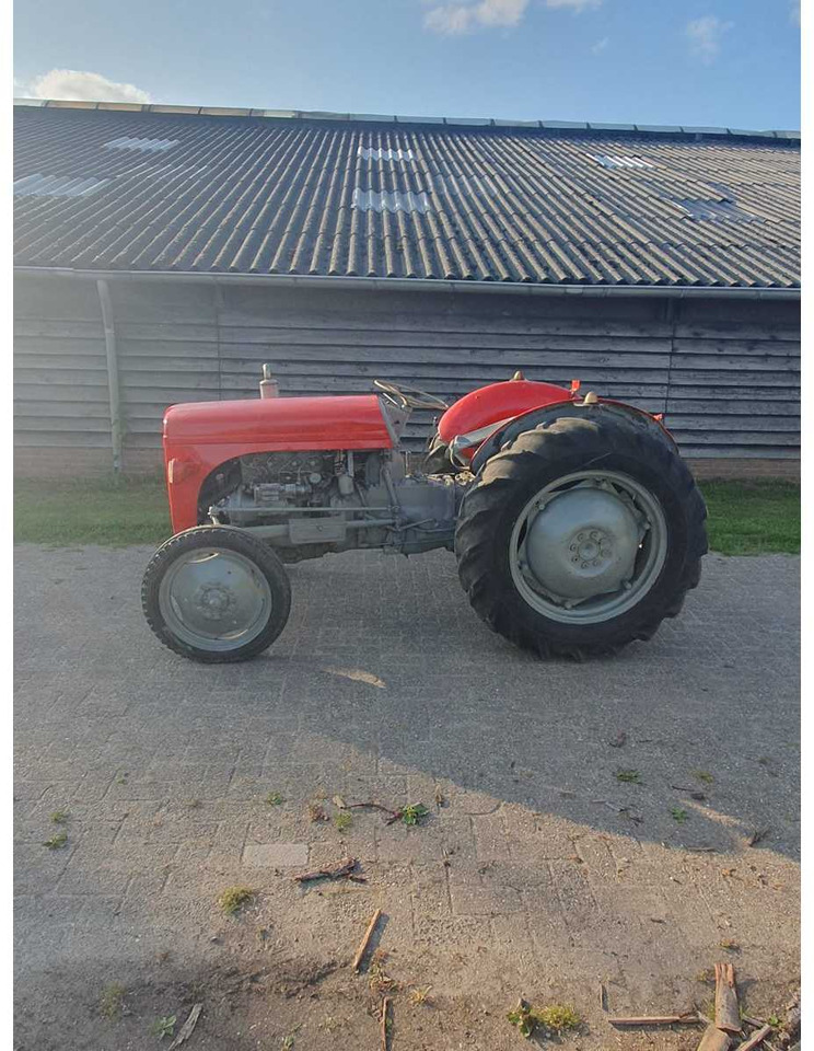 MF TEF - Farm tractor: picture 3 MF TEF - Farm tractor: picture 3