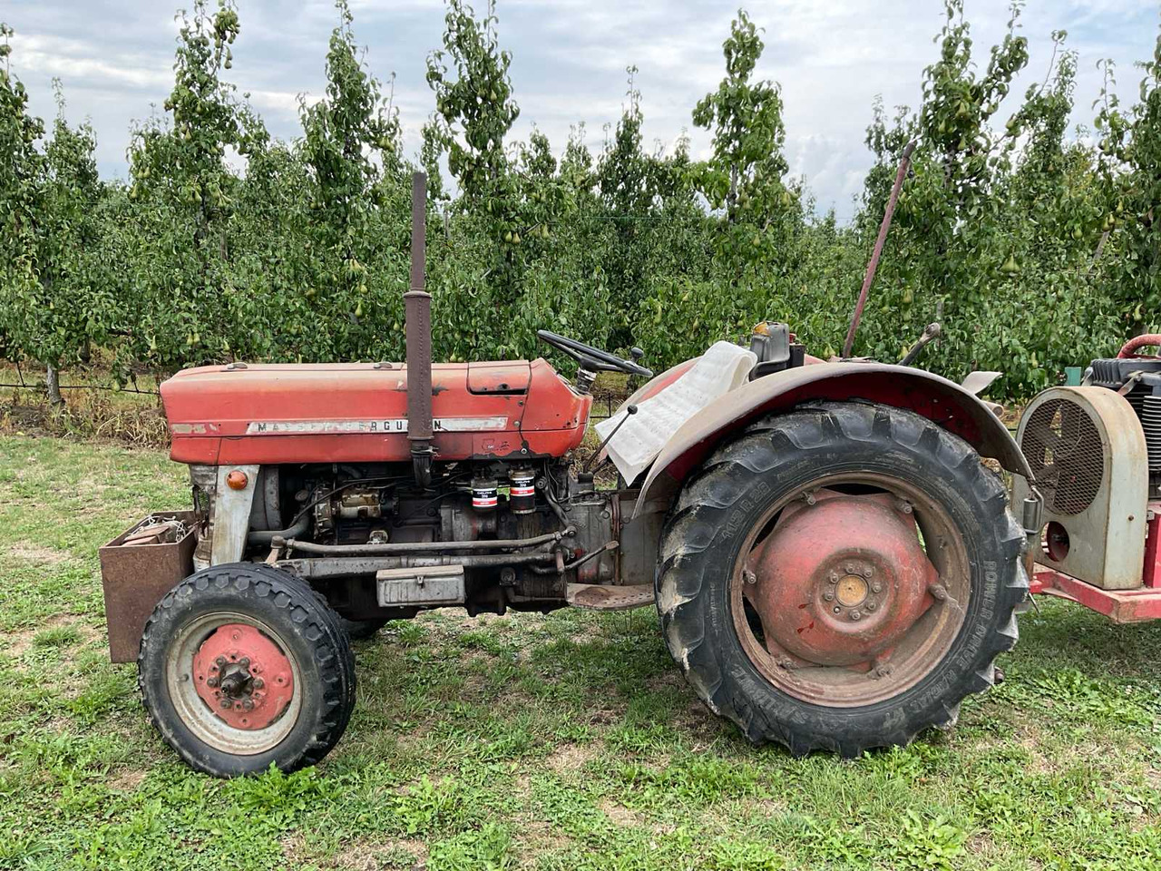 Massey Ferguson 135 - Farm tractor: picture 2 Massey Ferguson 135 - Farm tractor: picture 2