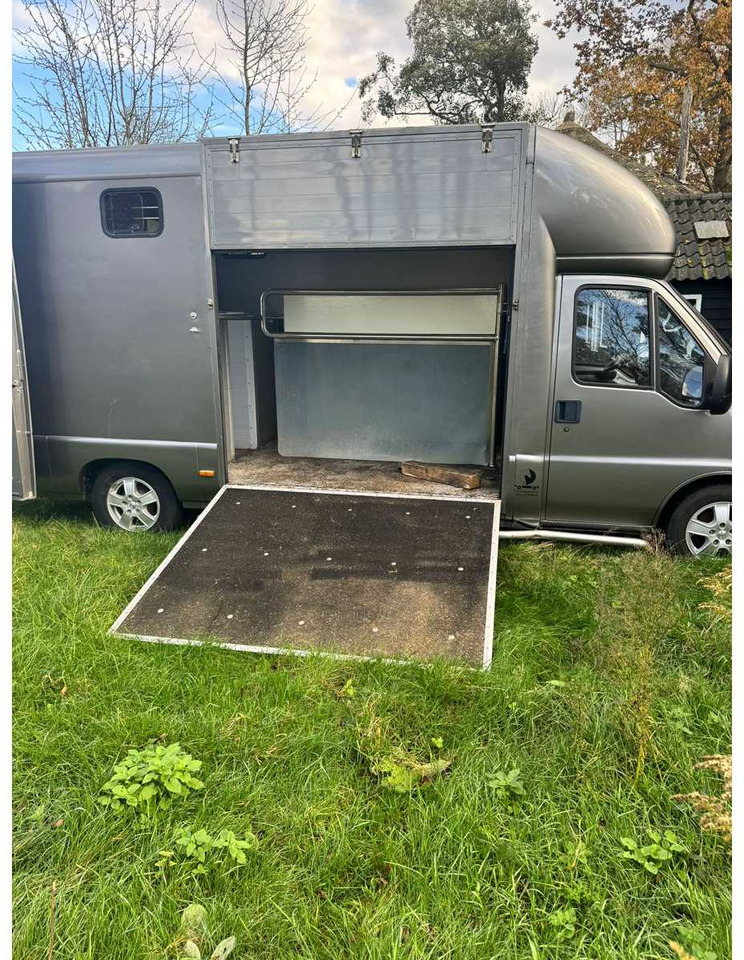 1999 FIAT DUCATO MAXI 18 2.8 ID 598-140 HORSE TRUCK - Van: picture 2 1999 FIAT DUCATO MAXI 18 2.8 ID 598-140 HORSE TRUCK - Van: picture 2