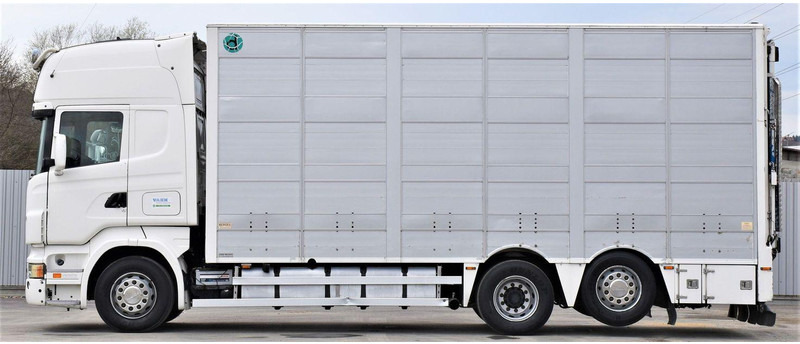 Scania R 500 - Livestock truck: picture 3 Scania R 500 - Livestock truck: picture 3