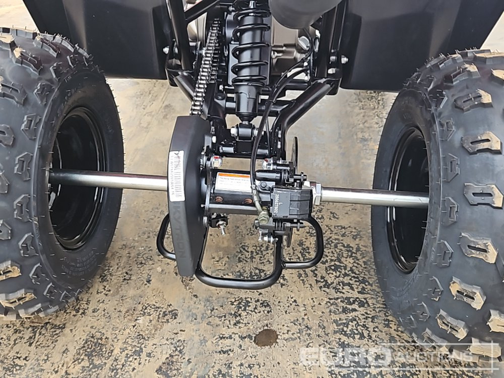 New Side-by-side/ ATV Unused 2025 Skytron Cub: picture 18