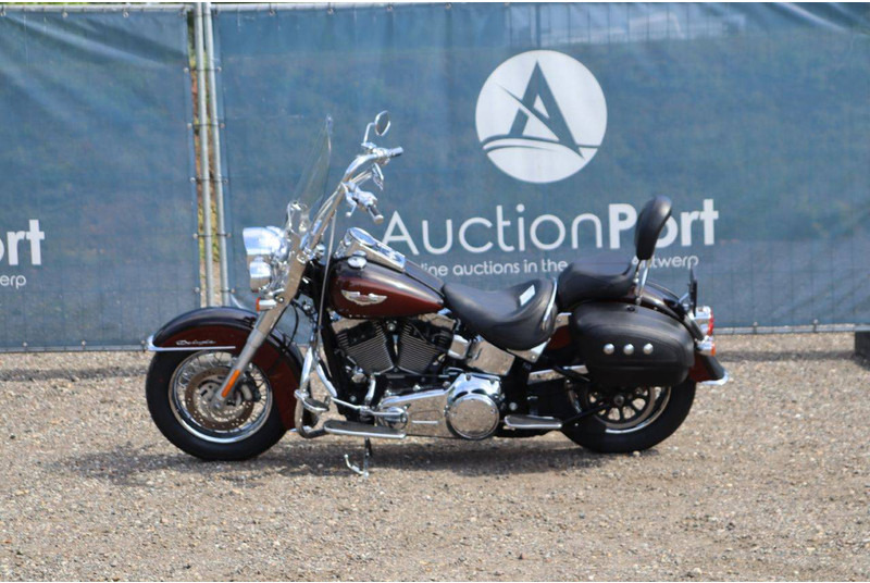 Harley-Davidson FLSTN SOFTAIL DELUXE - Motorcycle: picture 2 Harley-Davidson FLSTN SOFTAIL DELUXE - Motorcycle: picture 2