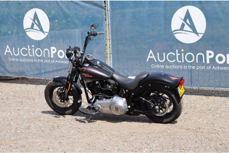 Harley-Davidson FLSTSB CROSS-BONES - Motorcycle: picture 3 Harley-Davidson FLSTSB CROSS-BONES - Motorcycle: picture 3