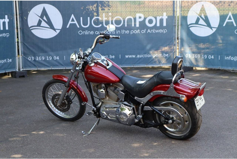 Harley-Davidson Softail Standard - Motorcycle: picture 3 Harley-Davidson Softail Standard - Motorcycle: picture 3