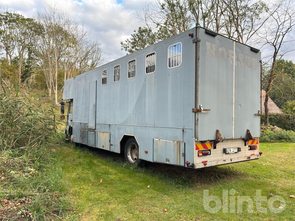 VOLVO FL614 - Horse truck: picture 5 VOLVO FL614 - Horse truck: picture 5